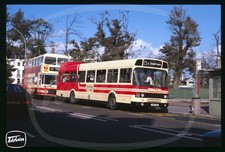 Original Bus Slide - Brighton