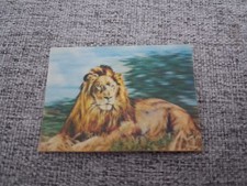 KELLOGG - Tiny Collectable Card - LION - Cereal - VGC