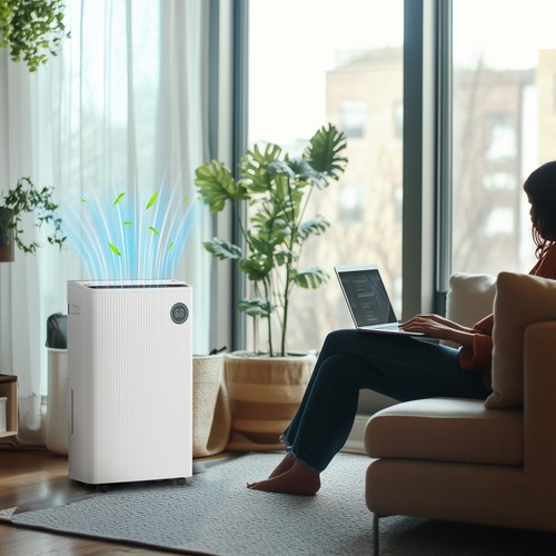 Portable 5500ml dehumidifier - portable,