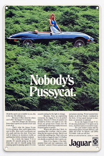 1974 jaguar type 12 - 1974,