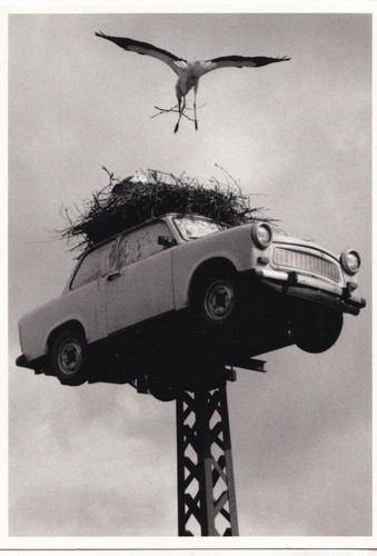 Trabant 601 - -, (d)