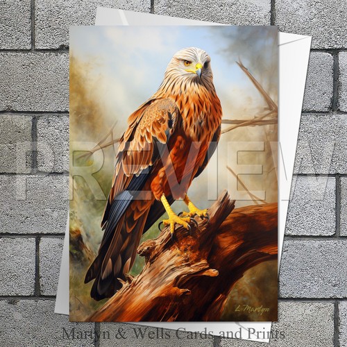 Red kite birthday - birthday, /
