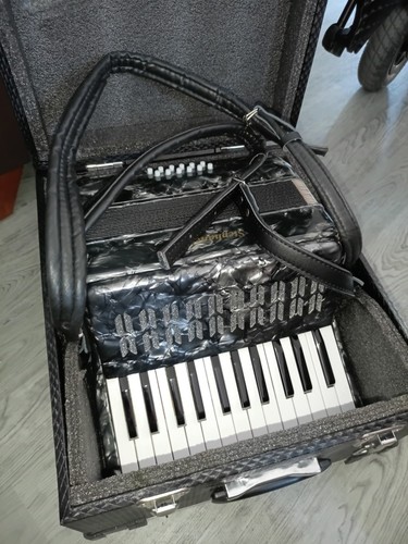 Bass piano accordian - 12,