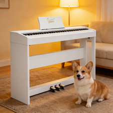 ♬Glarry Upright Digital