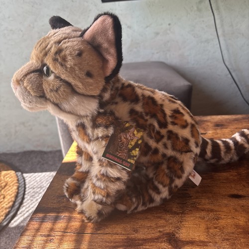 Bengal cat fine arts - cat,