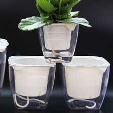  Clear Pots for Plants Square Flower Indoor Flowerpot Unique Planter