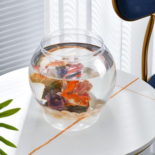 Fish bowl aquarium - fish, ornament