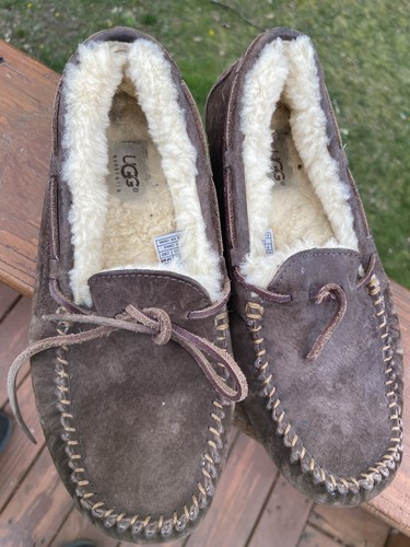 Ugg dakota brown - dakota,
