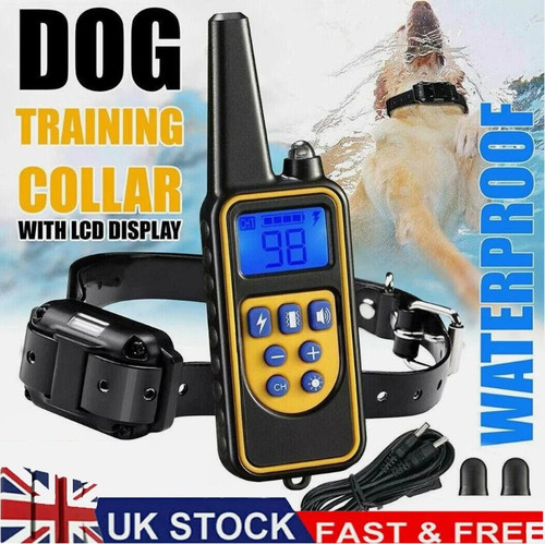 800m electric pet - electric, dog