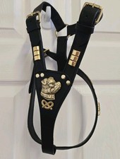 Leather Dog Harness for Staffy