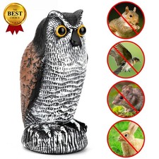 Owl Decoy Statue Protect