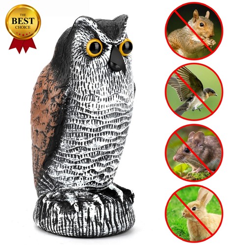 Owl decoy statue protect - decoy,