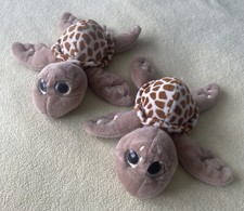 Pair Of Turtle Teddies