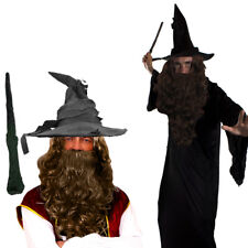 WIZARD CLOAK WITH BROWN WIG
