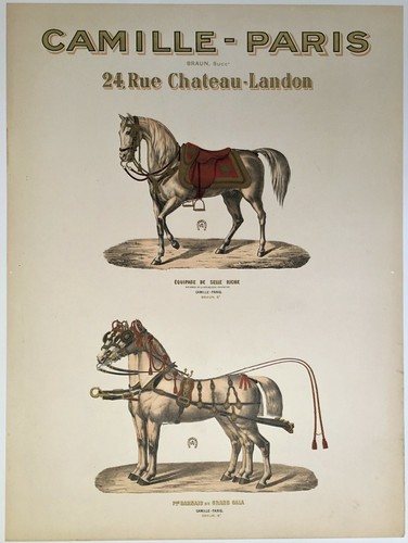 Original ca1900s french horse - ca1900s,