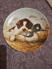 Dog Tired The Springer Spaniel