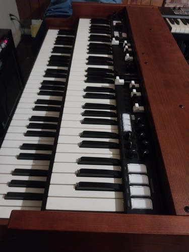 Crumar mojo classic dual - mojo,