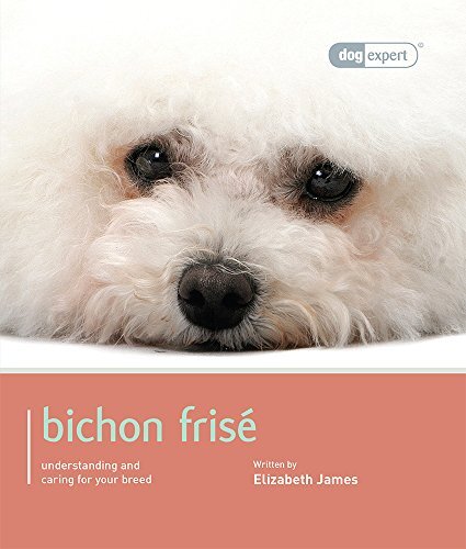 Bichon frise - frise:,