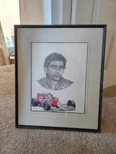F1 formula 1 racing Ayrton