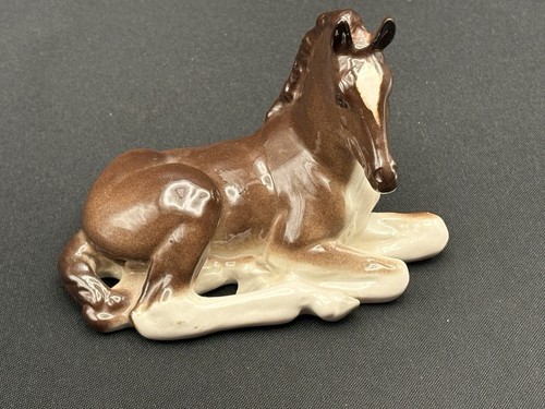 Lomonosov horse foal colt - lomonosov,