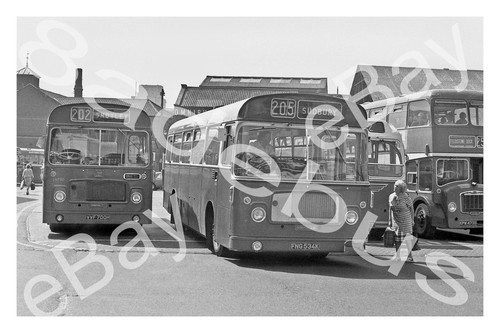 Bus photograph eastern - bus,