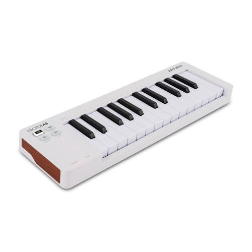 Arturia microlab mk3 - microlab,