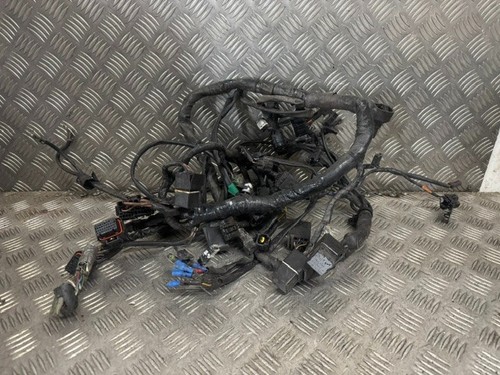 Triumph daytona 600 - daytona, wiring