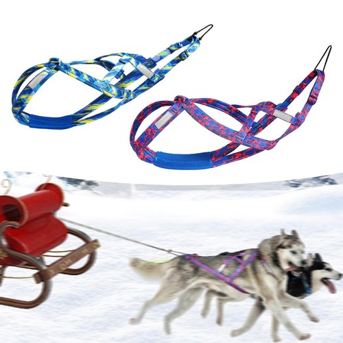 Dog pulling harness sled - harness,
