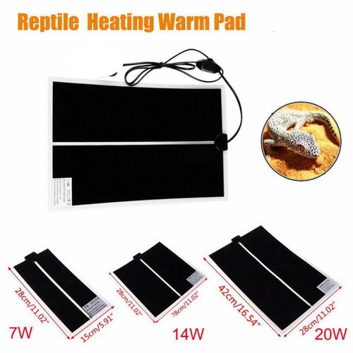 20w reptile heat - heat, mat