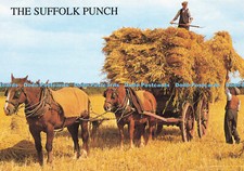 D146603 Suffolk Punch. Horses