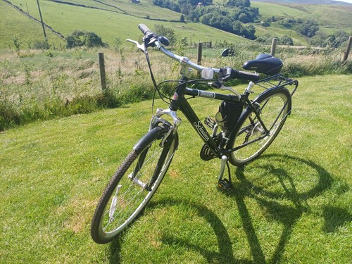 Beautiful schwinn ladies - beautiful, bike