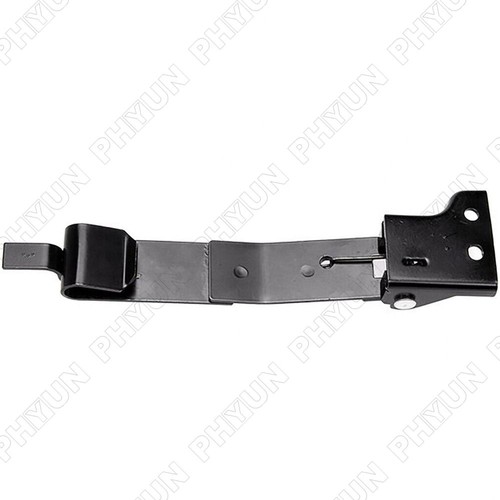 Door check strap - door, left