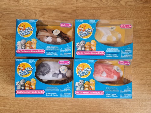 Zhu pets hamster - zhu,