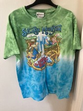 Disney World Splash Mountain