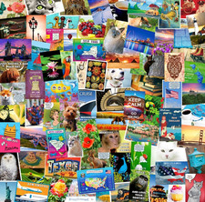 Random mixed Postcard Packs