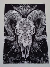 original Ram skull art, skull