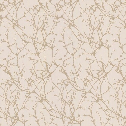 Romo lomasi arbor oyster - lomasi,