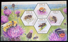 Ireland - 2024 - Native Irish