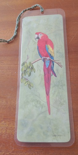 Scarlet macaw julie - 🦜,