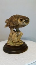 Border fine arts owl by Anne