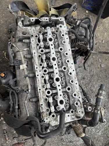 Cylinder head iveco - iveco, daily