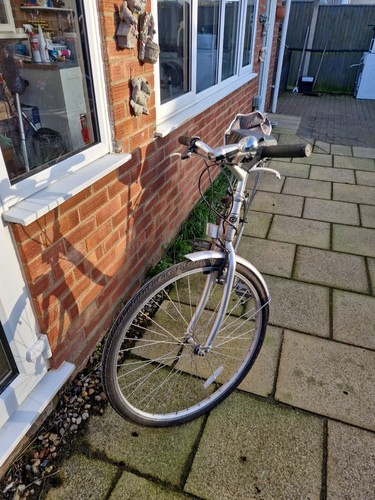 Ladies city trecking bike - ladies,