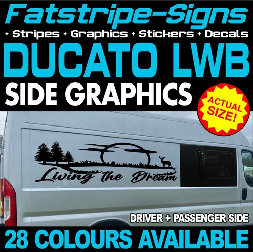 Fits fiat ducato graphics - fits,