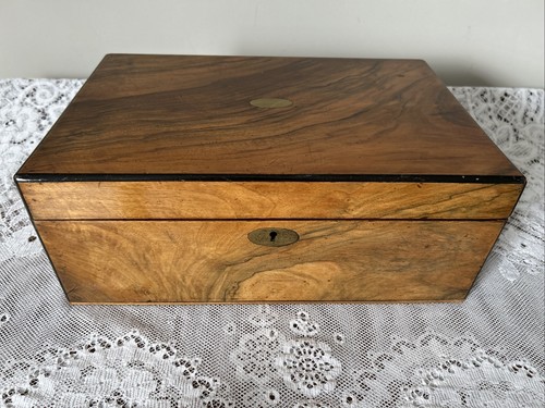 Victorian burr walnut document - walnut,