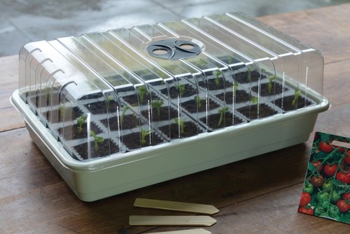 Garland cell propagator - cell,