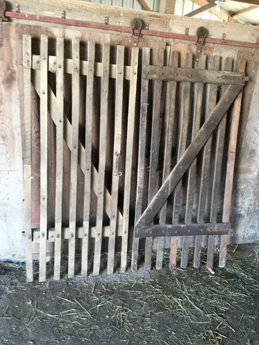 Antique racehorse stable doors - racehorse,