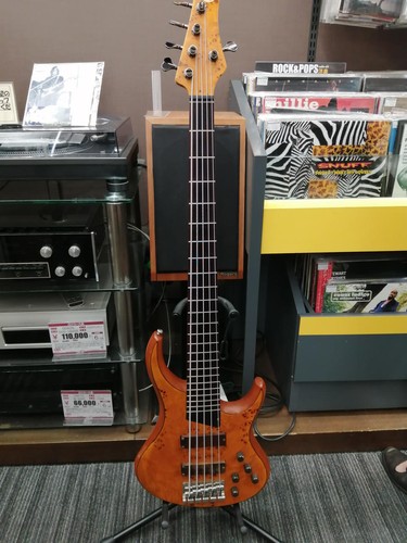 Mtd kingston string bass - mtd,