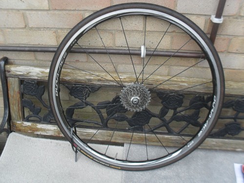 Dura ace c24 rear road - dura,