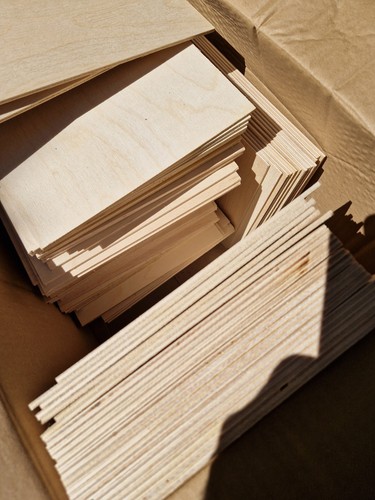 100 bulk laser ply - 100,