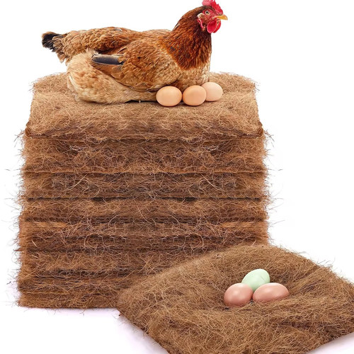 Pack chicken nest - 10,